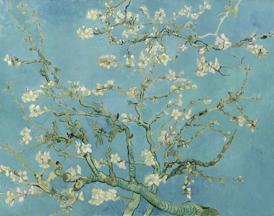 Mandelblüte, gemalt von Vincent van Gogh in Saint-Rémy, 1890